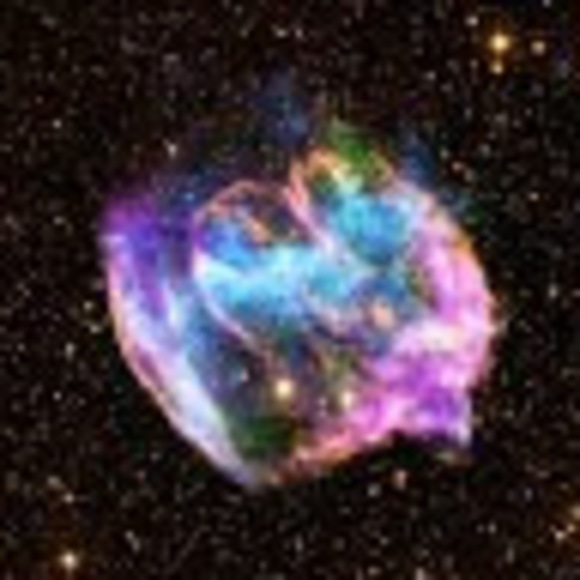 Meet your Posher, Lilo - Picture 1 of 1